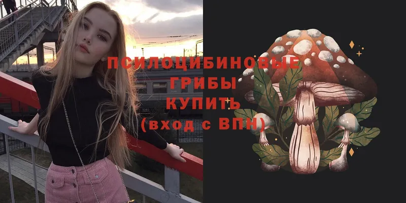 Псилоцибиновые грибы MAGIC MUSHROOMS  купить  цена  Уфа 