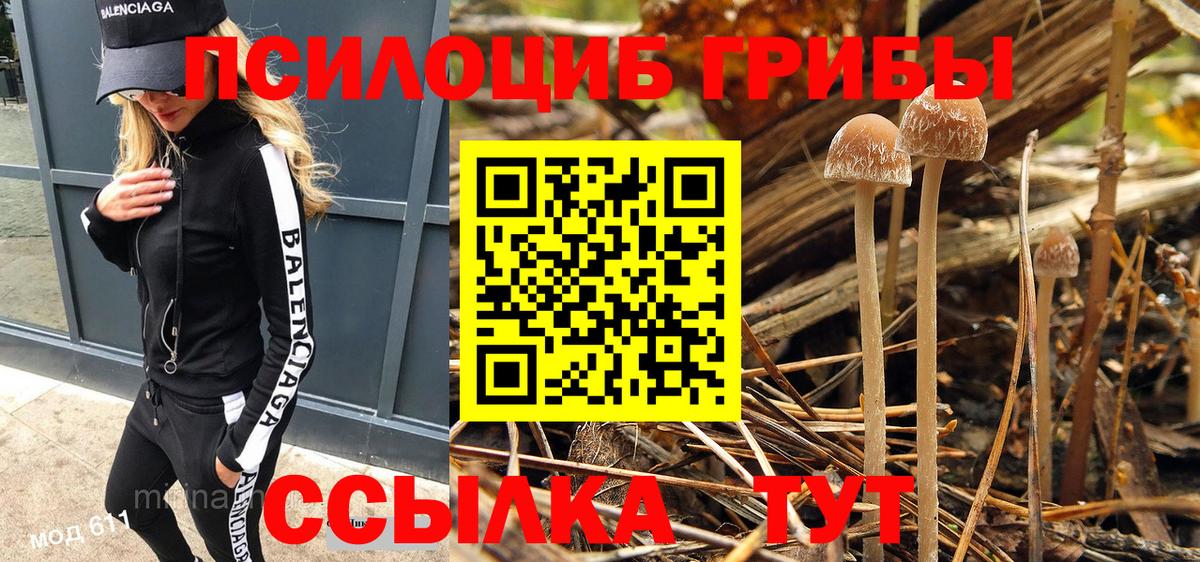 Галлюциногенные грибы мухоморы  Галлюциногенные грибы Psilocybine cubensis  Уфа 
