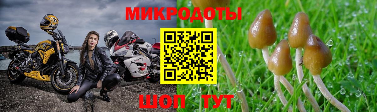 Псилоцибиновые грибы Magic Shrooms Уфа