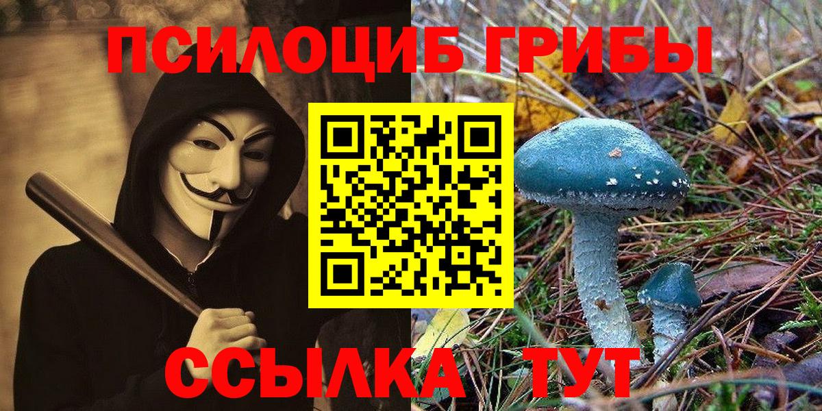 Псилоцибиновые грибы Psilocybine cubensis  Вход с VPN  купить закладку  Уфа 